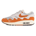 Nike x Patta Air Max 1 'Waves Monarch'